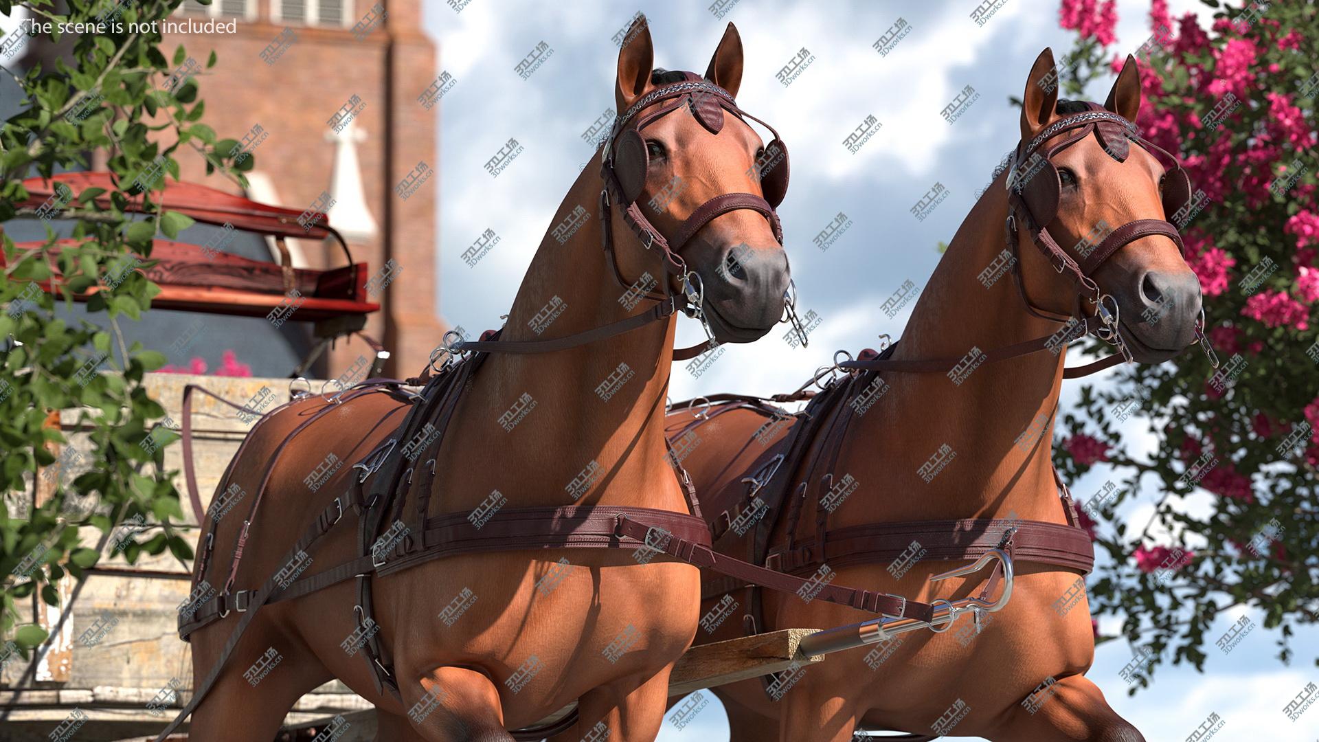 images/goods_img/2021040164/Pair of Harness model/4.jpg